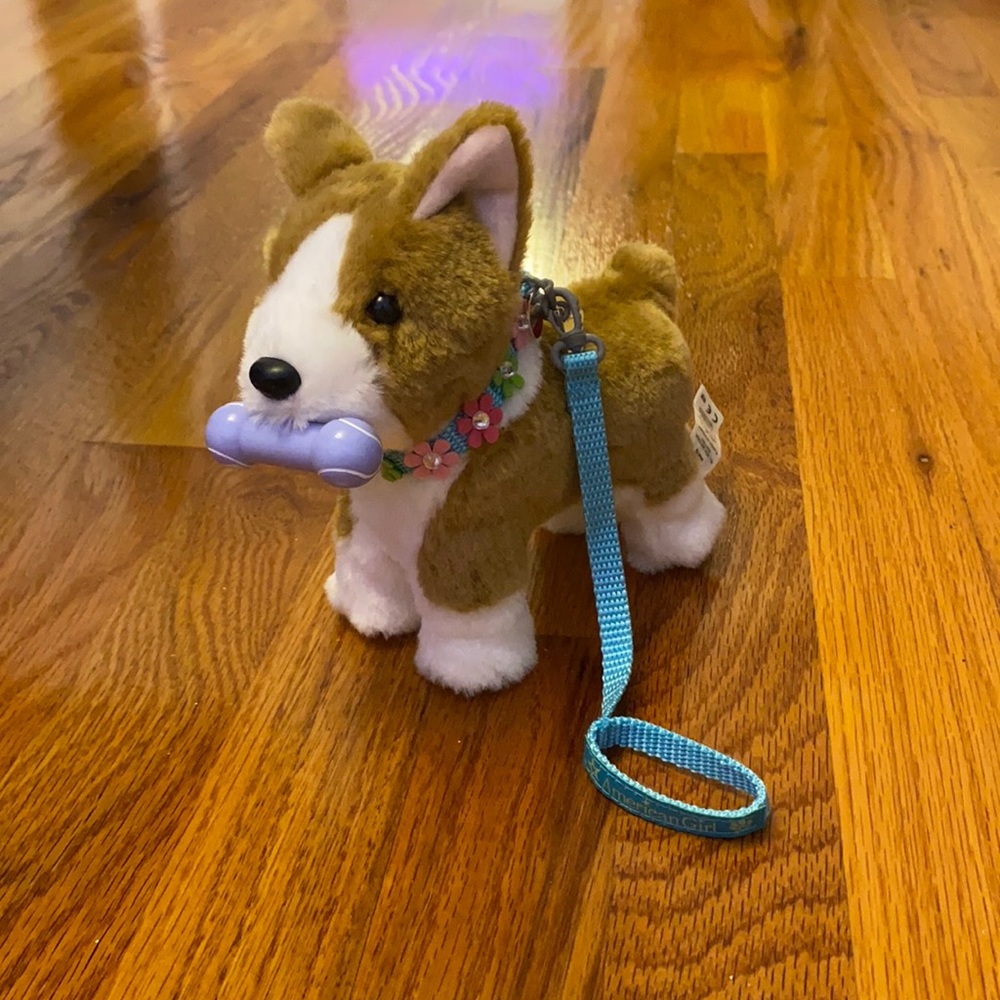 American Girl Dog With Collar